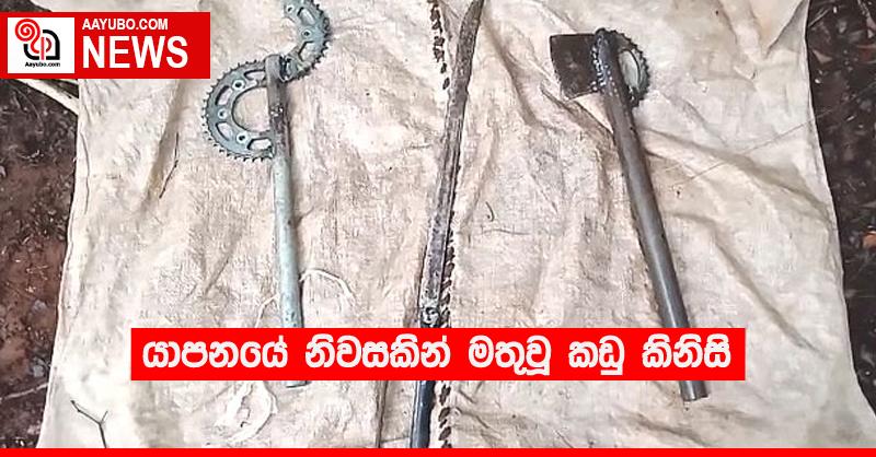 යාපනයේ නිවසකින් මතුවූ කඩු කිනිසි