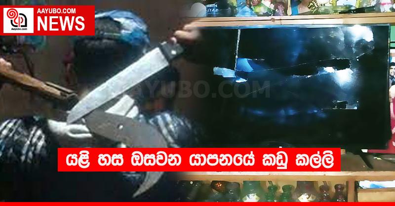 යළි හස ඔසවන යාපනයේ කඩු කල්ලි 