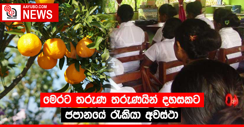 මෙරට තරුණ තරුණියන් දහසකට ජපානයේ රැකියා අවස්ථා