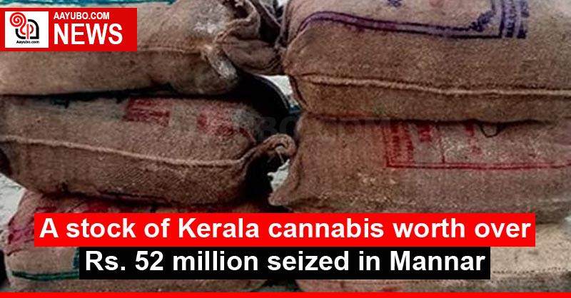 A stock of Kerala cannabis worth over Rs. 52 million seized in Mannar