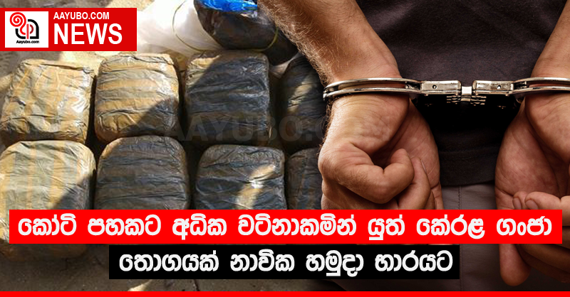 කෝටි පහකට අධික වටිනාකමින් යුත් කේරල ගංජා තොගයක් නාවික හමුදා භාරයට