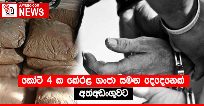 කෝටි 4 ක කේරළ ගංජා සමඟ දෙදෙනෙක් අත්අඩංගුවට