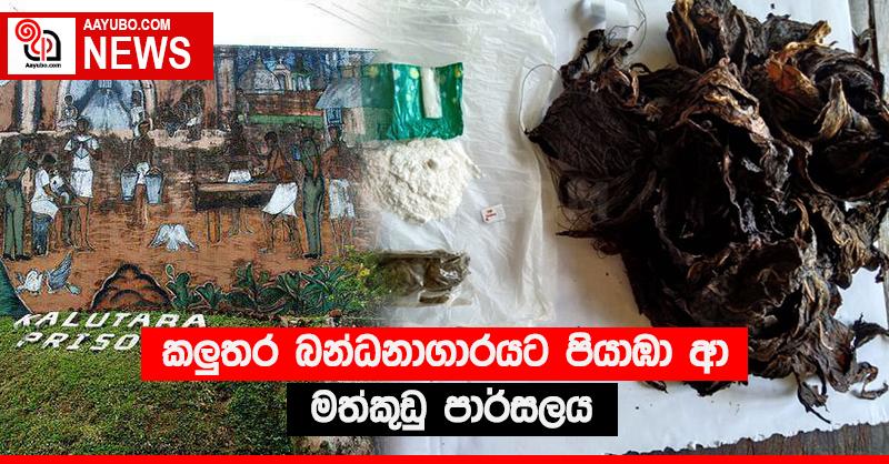 කළුතර බන්ධනාගාරයට පියාඹා ආ මත්කුඩු පාර්සලය