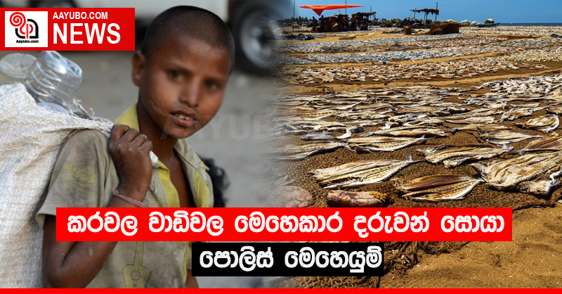 කරවල වාඩිවල මෙහෙකාර දරුවන් සොයා පොලිස් මෙහෙයුම්