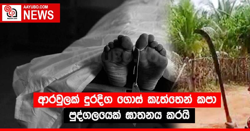 ආරවුලක් දුරදිග ගොස් කැත්තෙන් කපා පුද්ගලයෙක් ඝාතනය කරයි