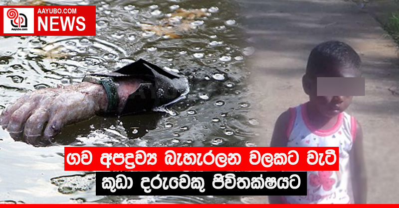 ගව අපද්‍රව්‍ය බැහැරලන වලකට වැටී කුඩා දරුවෙකු ජිවිතක්ෂයට