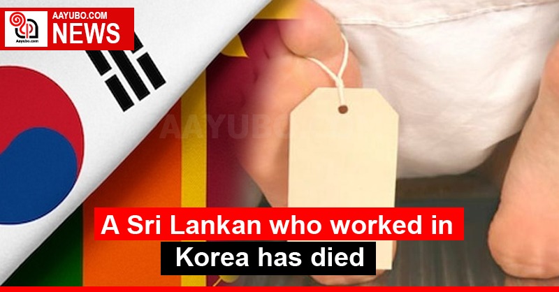 A Sri Lankan who worked in Korea has died