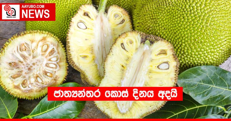 ජාත්‍යන්තර කොස් දිනය අදයි
