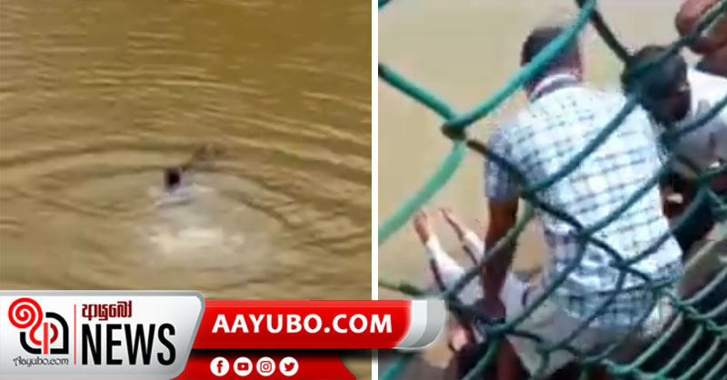 තලවකැලේ පොලිස් ස්ථානාධිපති කොත්මලේ ජලාශයට පැන තරුණියක් බේරා ගනී (VIDEO)