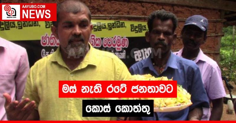 මස් නැති රටේ ජනතාවට කොස් කොත්තු
