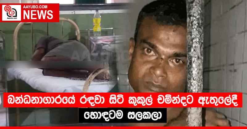 බන්ධනාගාරයේ රඳවා සිටි කුකුල් චමින්දට ඇතුලේදී හොඳටම සලකලා
