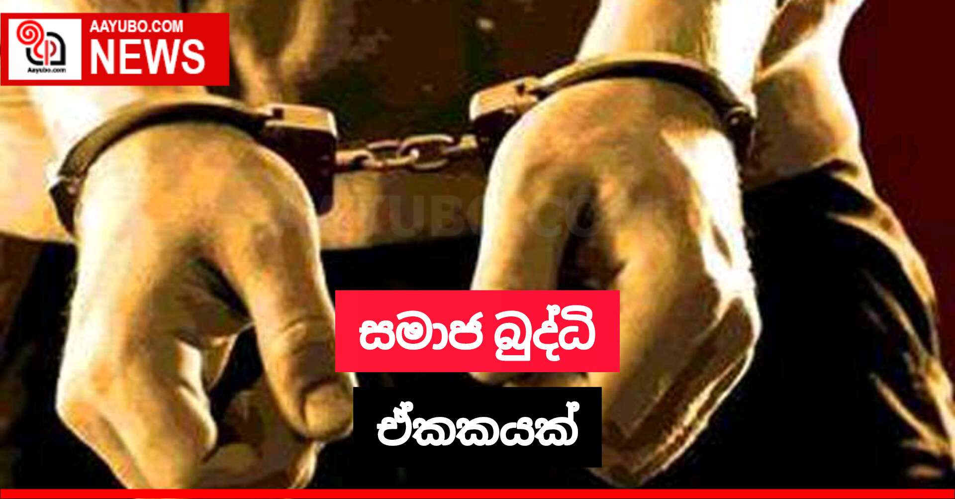 සමාජ බුද්ධි ඒකකයක්