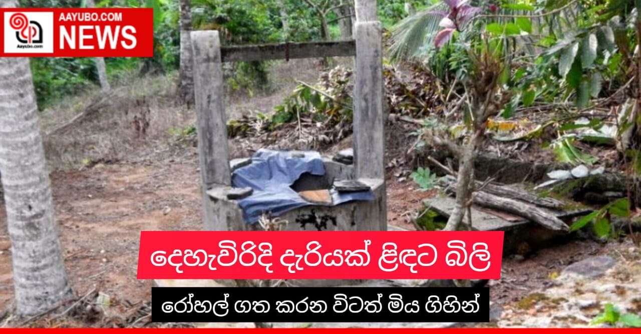 දෙහැවිරිදි දැරියක් ළිඳට බිලි