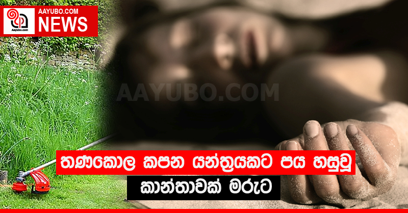 තණකොල කපන යන්ත්‍රයකට පය හසුවූ කාන්තාවක් මරුට