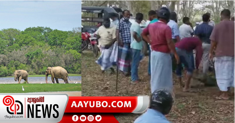 ලාහුගල ජාතික වනෝද්‍යාන භූමියේ මායිම් ගල් ගලවන කැළෑ පාළුවන් කවුද?