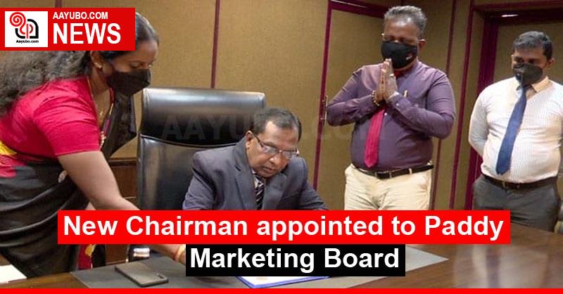 New Chairman appointed to Paddy Marketing Board