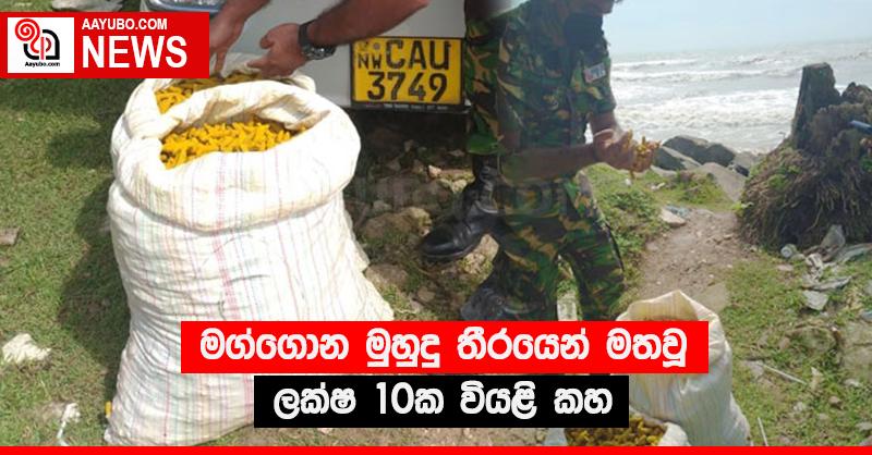 මග්ගොන මුහුදු තීරයෙන් මතවූ ලක්ෂ 10ක වියළි කහ