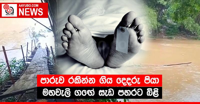 පාරුව රකින්න ගිය දෙදරු පියා මහවැලි ගඟේ සැඩ පහරට බිළි