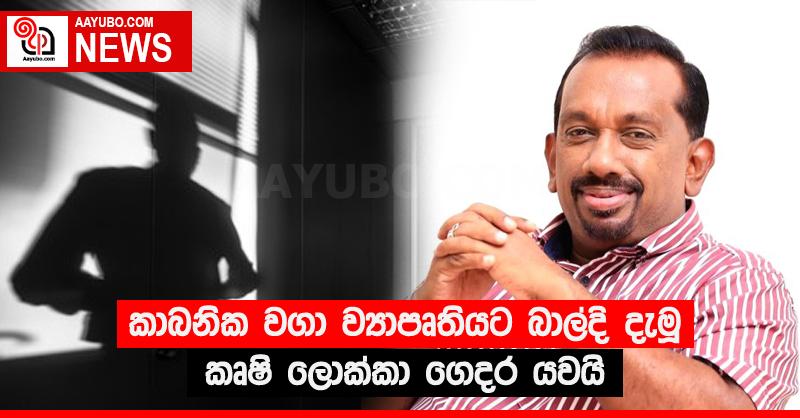 කාබනික වගා ව්‍යාපෘතියට බාල්දි දැමූ කෘෂි ලොක්කා ගෙදර යවයි