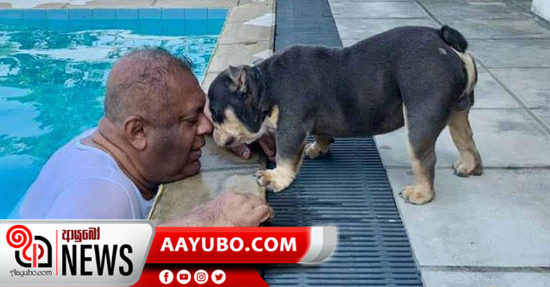 මංගලගේ සමුගැනීම ගැන නව සංස්කරණයක්