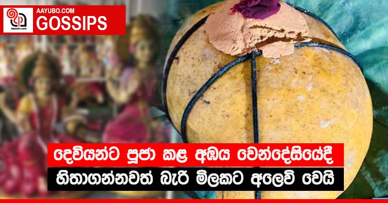 දෙවියන්ට පූජා කළ අඹය වෙන්දේසියේදී හිතාගන්නවත් බැරි මිලකට අලෙවි වෙයි