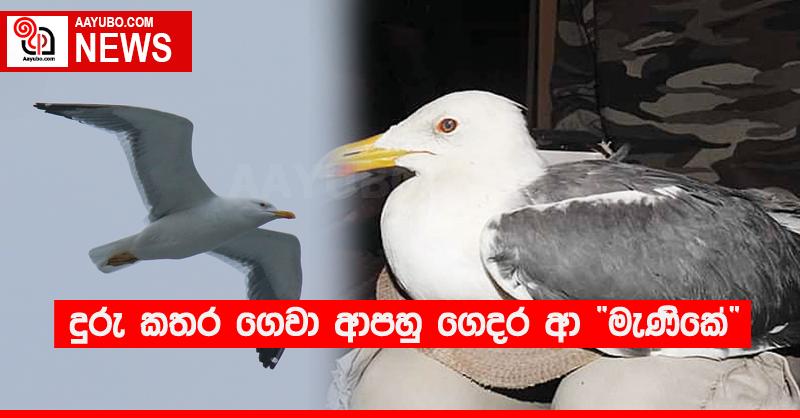 දුරු කතර ගෙවා ආපහු ගෙදර ආ “මැණිකේ”
