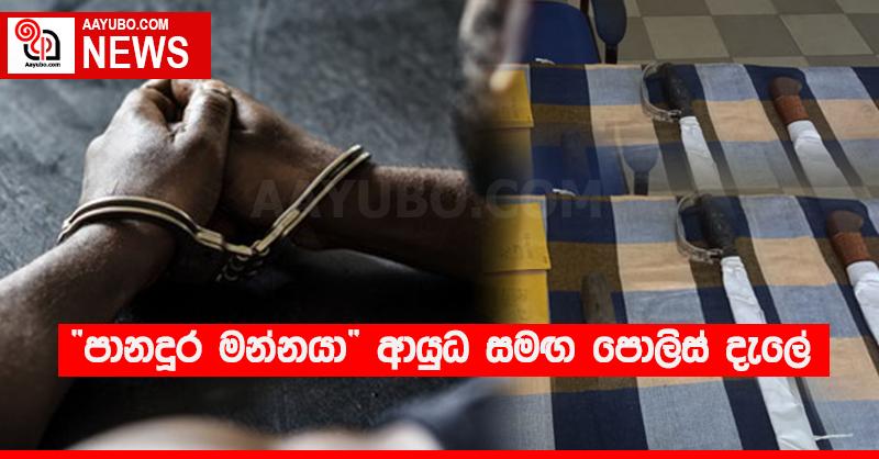 “පානදුර මන්නයා” ආයුධ සමඟ පොලිස් දැලේ