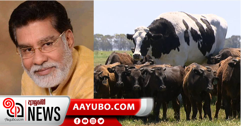 අගමැති මහින්දගෙන් ” ගව වගකීමක්” මර්වින් සිල්වා ඉල්ලයි