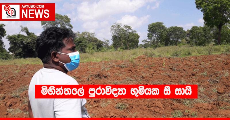 මිහින්තලේ පුරාවිද්‍යා භූමියක සී සායි