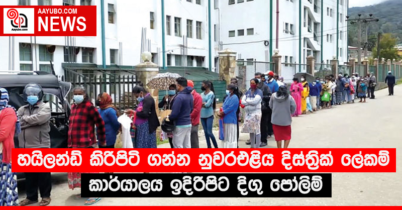 හයිලන්ඩ් කිරිපිටි ගන්න නුවරඑළිය දිස්ත්‍රික් ලේකම් කාර්යාලය ඉදිරිපිට දිගු පෝලිම්