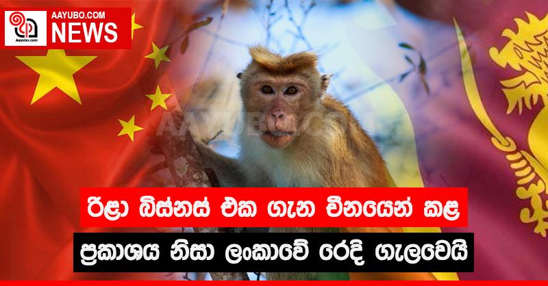 රිලා බිස්නස් එක ගැන චීනයෙන් කළ ප්‍රකාශය නිසා ලංකාවේ රෙදි ගැලවෙයි