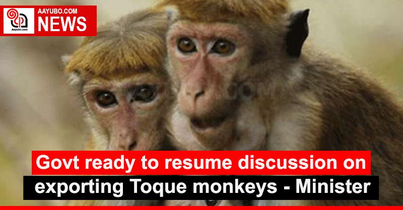 Govt ready to resume discussion on exporting Toque monkeys - Minister