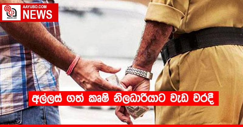 අල්ලස් ගත් කෘෂි නිලධාරියාට වැඩ වරදී
