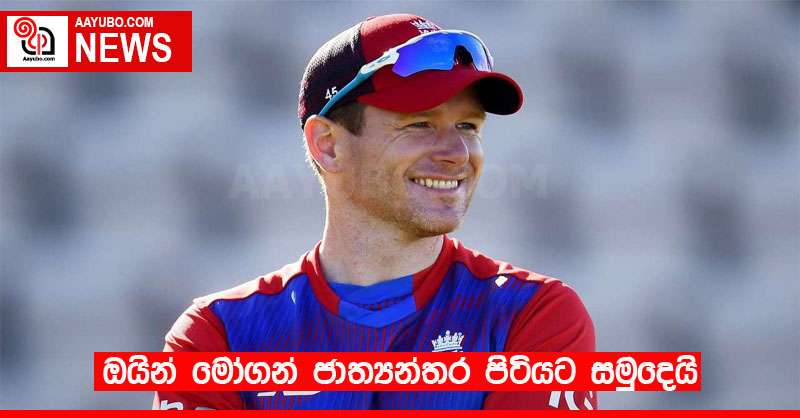 එංගලන්ත ක්‍රිකට් නායක ඔයින් මෝගන් ජාත්‍යන්තර පිටියට සමුදෙයි