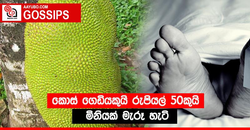 කොස් ගෙඩියකුයි රුපියල් 50කුයි මිනියක් මැරූ හැටි