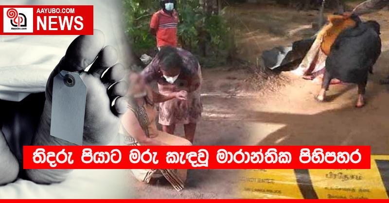 තිදරු පියාට මරු කැඳවූ මාරාන්තික පිහිපහර
