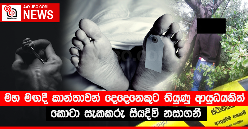 මහ මඟදී කාන්තාවන් දෙදෙනෙකුට තියුණු ආයුධයකින් කොටා සැකකරු සියදිවි නසාගනී