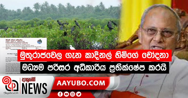 මුතුරාජවෙල ගැන කාදිනල් හිමිගේ චෝදනා මධ්‍යම පරිසර අධිකාරිය ප්‍රතික්ෂේප කරයි
