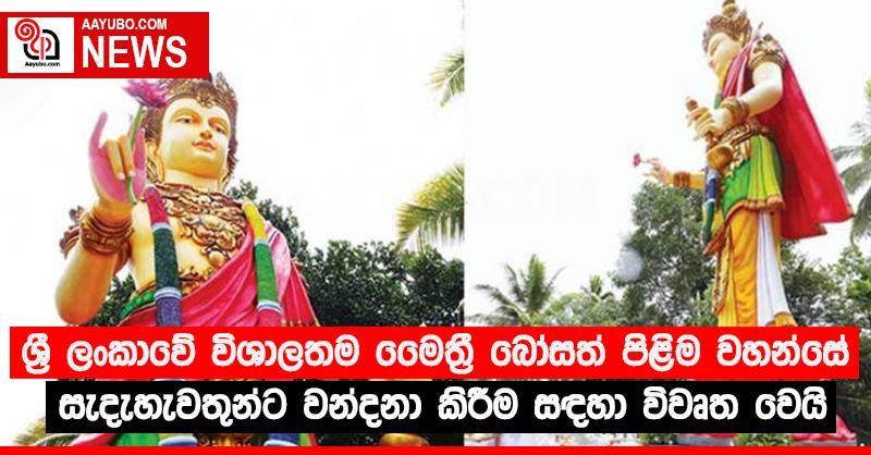 ශ්‍රී ලංකාවේ විශාලතම මෛත්‍රී බෝසත් පිළිම වහන්සේ සැදැහැවතුන්ට වන්දනා කිරීම සඳහා විවෘත වෙයි