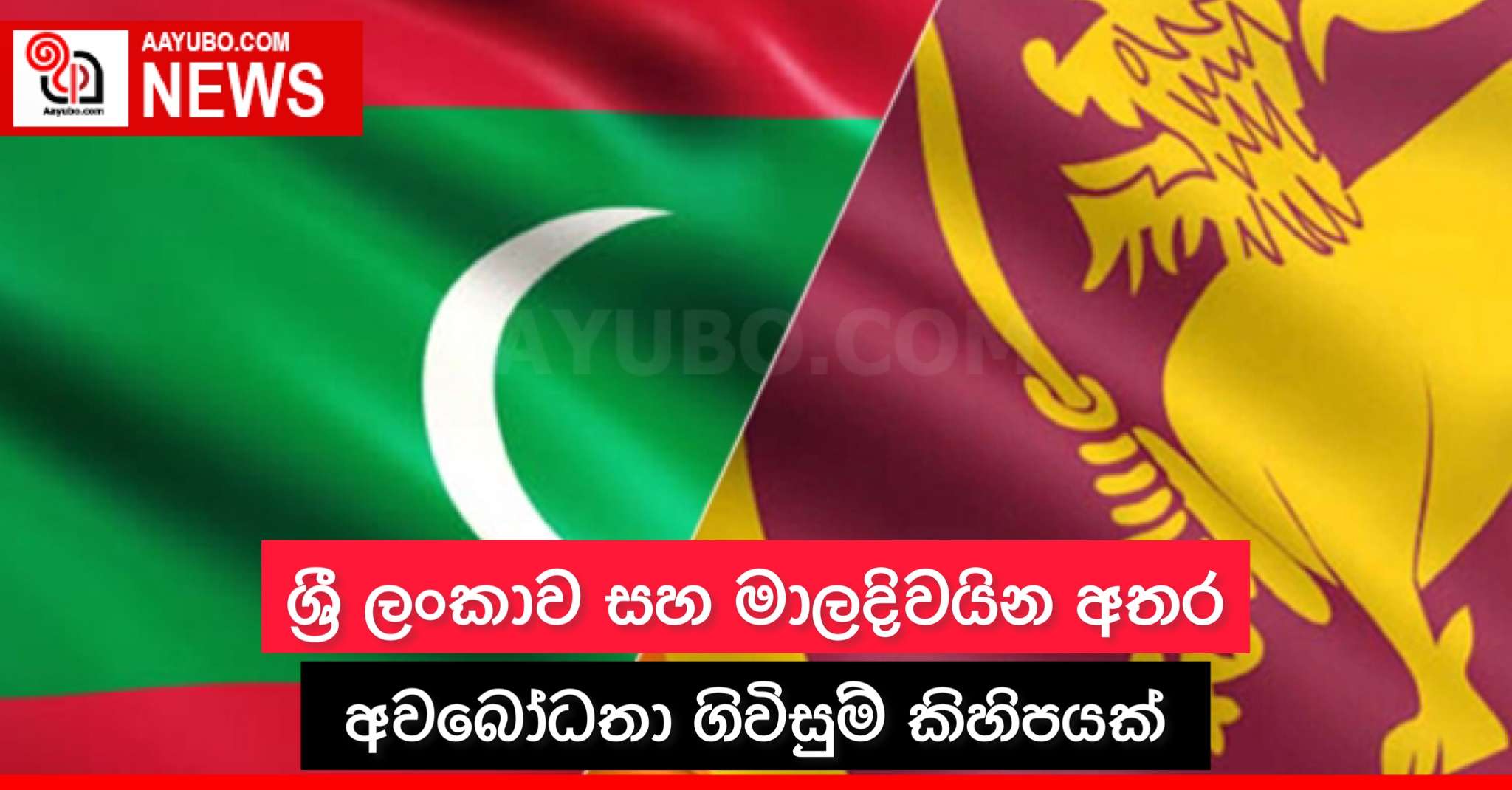 ශ්‍රී ලංකාව සහ මාලදිවයින අතර අවබෝධතා ගිවිසුම් කිහිපයක්