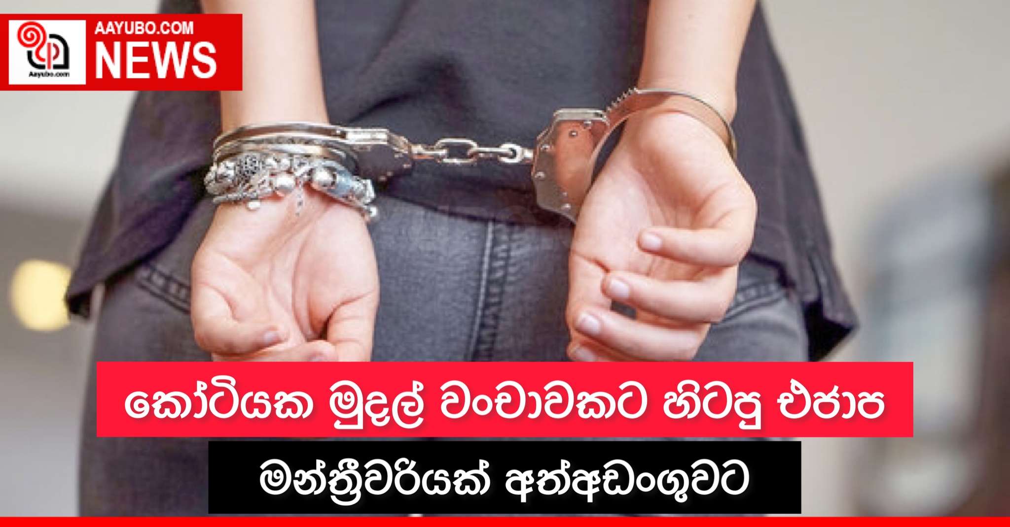 කෝටියක මුදල් වංචාවකට හිටපු එජාප මන්ත්‍රීවරියක් අත්අඩංගුවට 