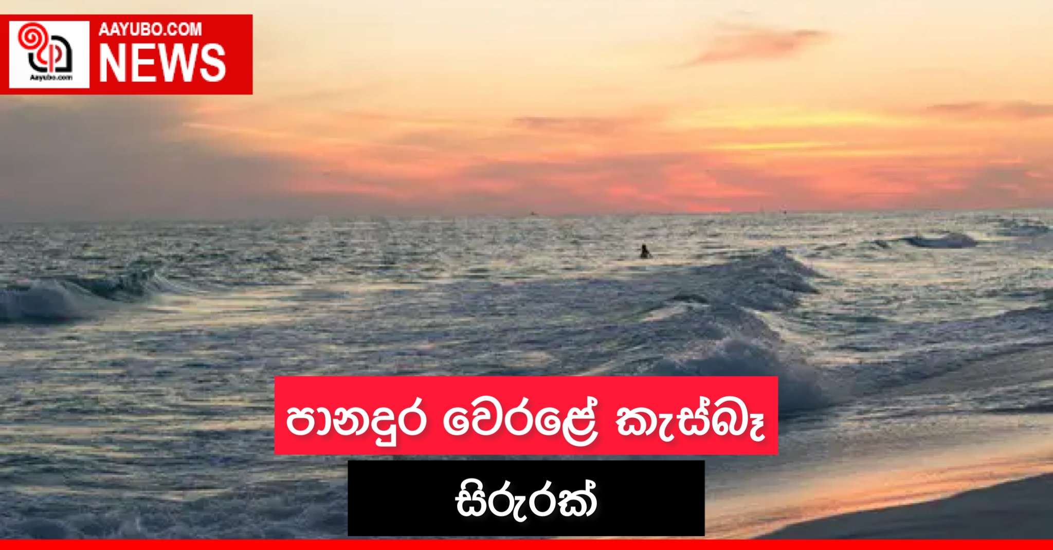 පානදුර වෙරළේ කැස්බෑ සිරුරක්