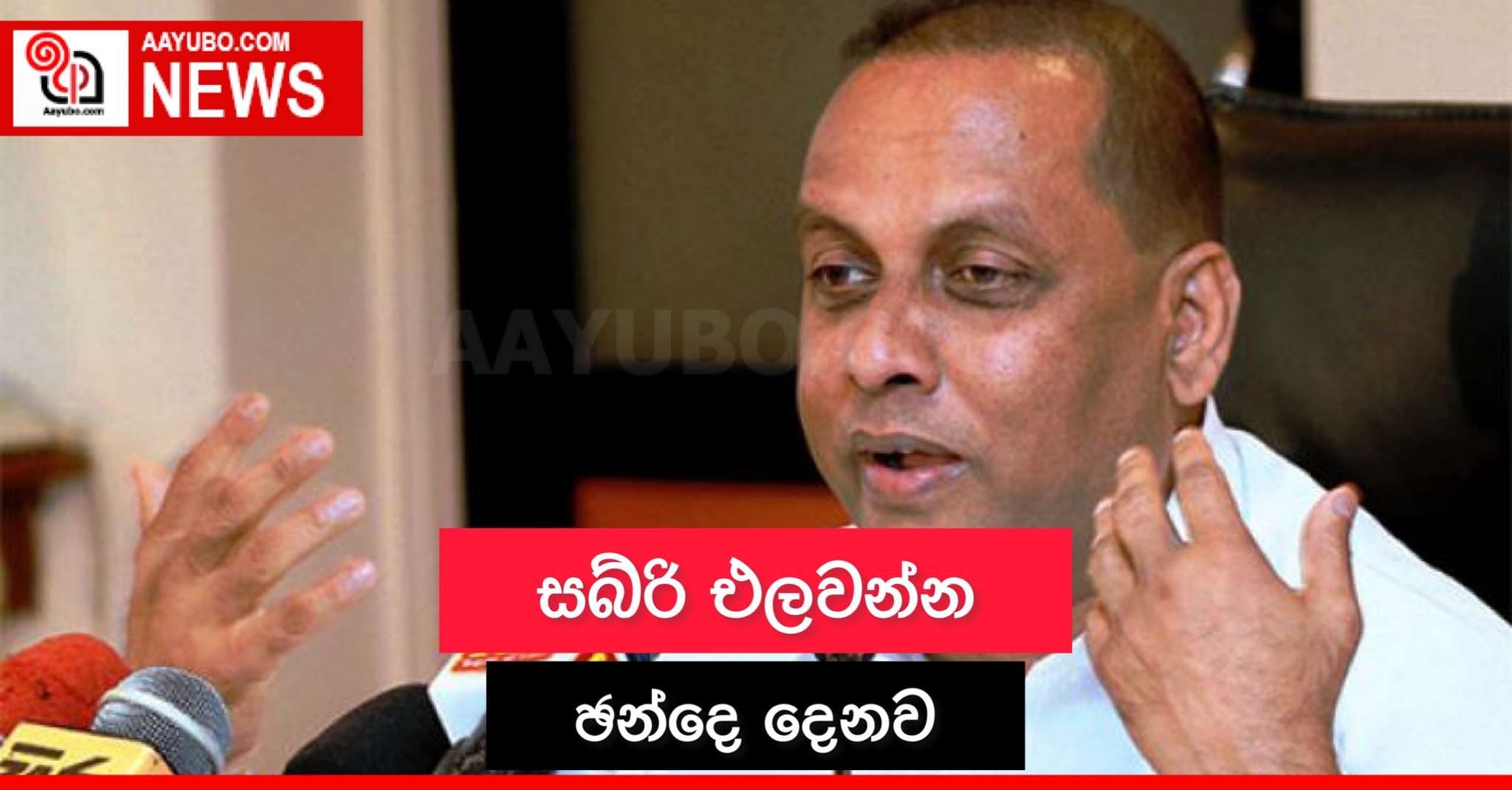 සබ්රි එලවන්න ඡන්දෙ දෙනවා