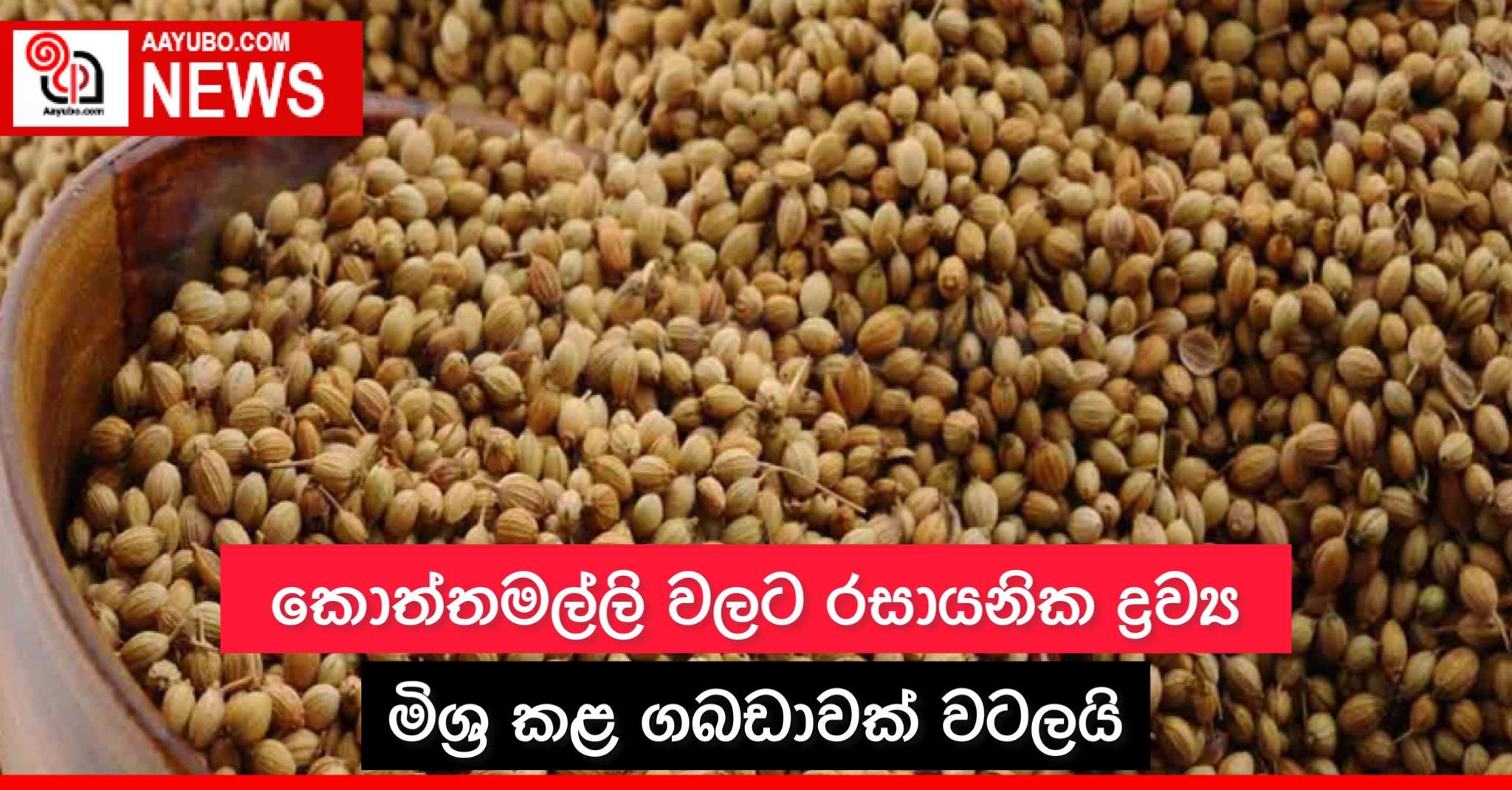 කොත්තමල්ලි වලට රසායනික ද්රව්ය මිශ්ර කළ ගබඩාවක් වටලයි