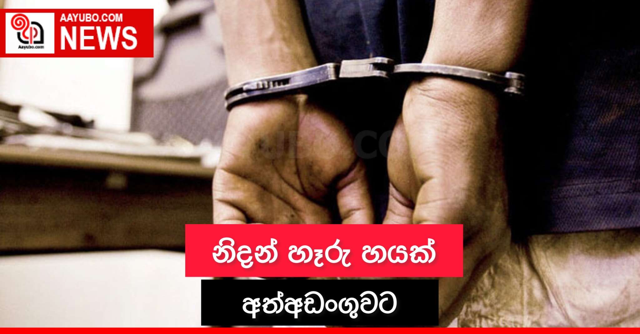 නිදන් හෑරු හයක් අත්අඩංගුවට