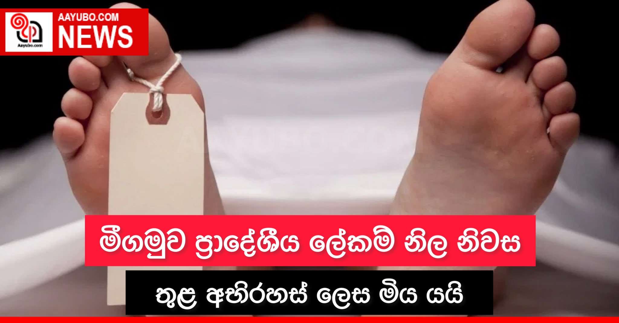 මීගමුව ප්‍රාදේශීය ලේකම් නිල නිවස තුළ අභිරහස් ලෙස මිය යයි