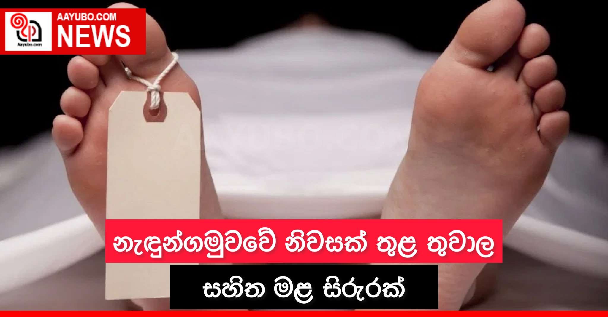 නැඳුන්ගමුවේ නිවසක් තුළ තුවාල සහිත මළ සිරුරක්