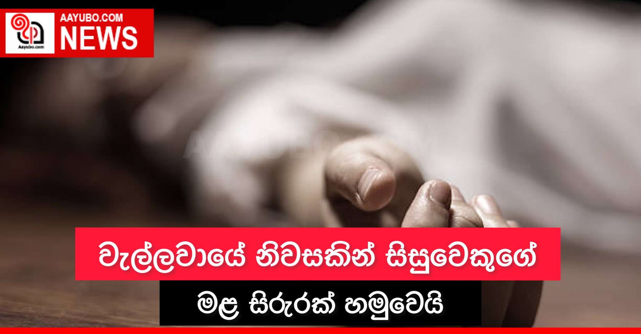වැල්ලවායේ නිවසකින් සිසුවෙකුගේ මළ සිරුරක් හමුවෙයි