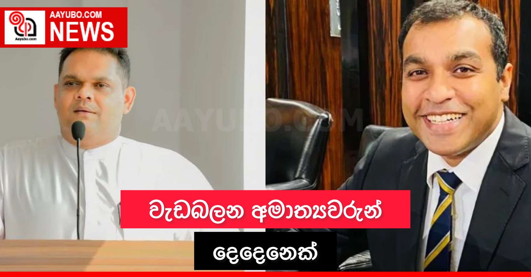 වැඩබලන අමාත්‍යවරුන් දෙදෙනෙක්