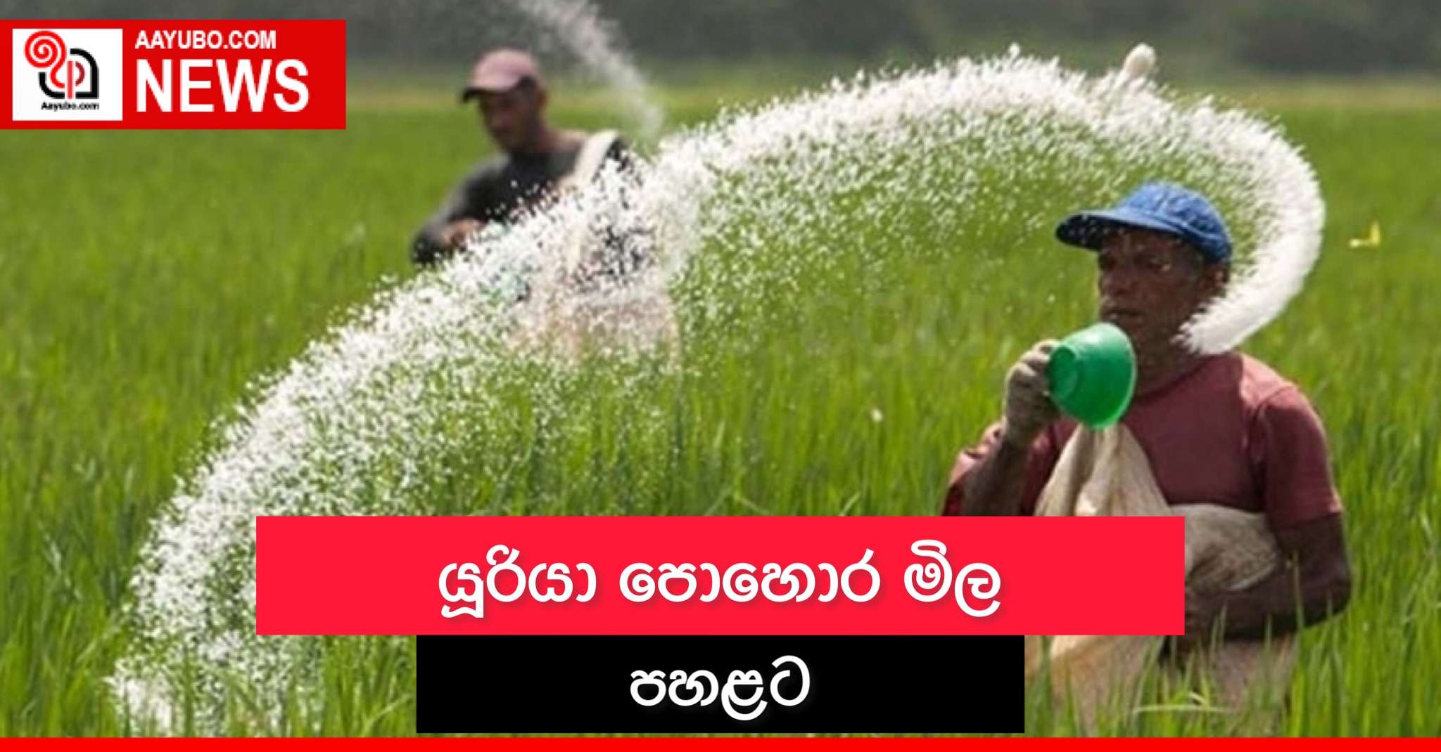 යූරියා පොහොර මිල තවත් පහළට